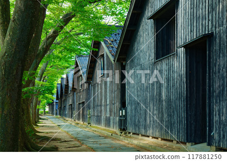 Yamai warehouse and Zelkova trees 117881250
