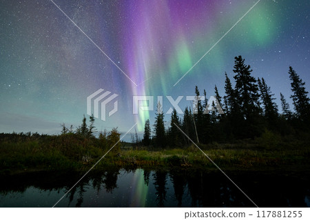 Views of the aurora, aurora viewing, natural phenomena 117881255