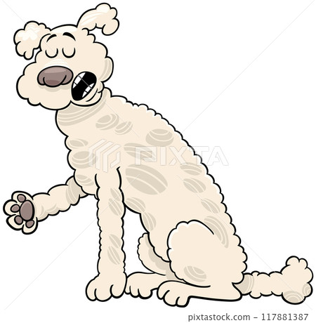 poodle purebred dog animal cartoon illustration 117881387