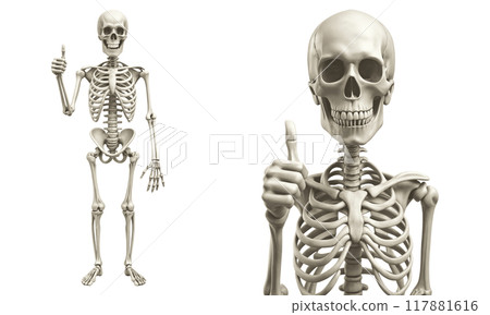 Skeleton hand, a skeleton with the thumb up associated with agreement, approval, affirmation, or positivity in sign language. 117881616
