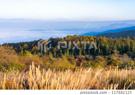 [Sea of clouds] Sea of clouds in the direction of the Northern Alps as seen from Takabocchi Plateau in autumn [Nagano Prefecture] 117882125