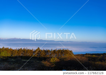 [Sea of clouds] Sea of clouds in the direction of the Northern Alps as seen from Takabocchi Plateau in autumn [Nagano Prefecture] 117882128