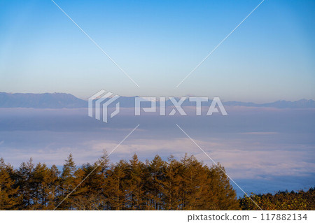 [Sea of clouds] Sea of clouds in the direction of the Northern Alps as seen from Takabocchi Plateau in autumn [Nagano Prefecture] 117882134