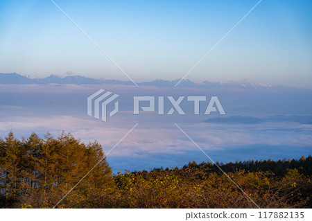 [Sea of clouds] Sea of clouds in the direction of the Northern Alps as seen from Takabocchi Plateau in autumn [Nagano Prefecture] 117882135