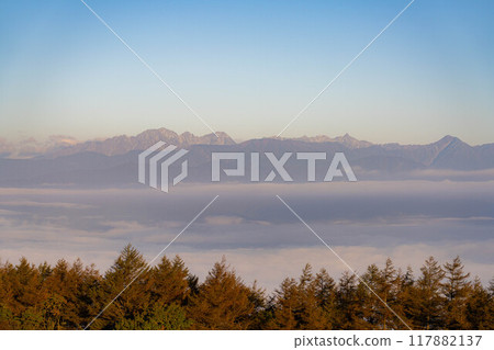 [Sea of clouds] Sea of clouds in the direction of the Northern Alps as seen from Takabocchi Plateau in autumn [Nagano Prefecture] 117882137