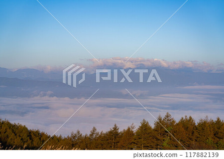 [Sea of clouds] Sea of clouds in the direction of the Northern Alps as seen from Takabocchi Plateau in autumn [Nagano Prefecture] 117882139
