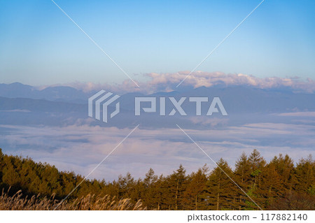 [Sea of clouds] Sea of clouds in the direction of the Northern Alps as seen from Takabocchi Plateau in autumn [Nagano Prefecture] 117882140
