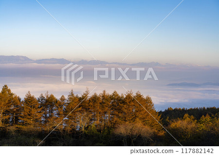 [Sea of clouds] Sea of clouds in the direction of the Northern Alps as seen from Takabocchi Plateau in autumn [Nagano Prefecture] 117882142