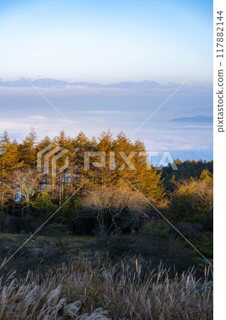 [Sea of clouds] Sea of clouds in the direction of the Northern Alps as seen from Takabocchi Plateau in autumn [Nagano Prefecture] 117882144