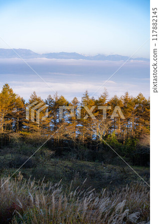 [Sea of clouds] Sea of clouds in the direction of the Northern Alps as seen from Takabocchi Plateau in autumn [Nagano Prefecture] 117882145
