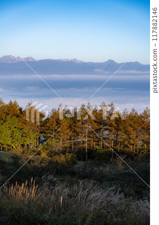 [Sea of clouds] Sea of clouds in the direction of the Northern Alps as seen from Takabocchi Plateau in autumn [Nagano Prefecture] 117882146