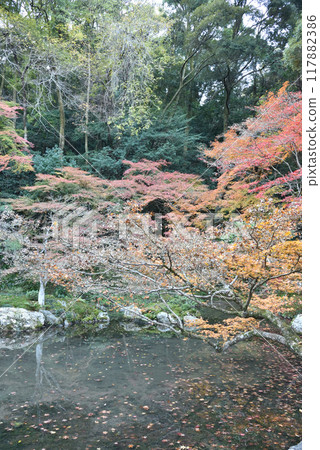 Nanzen-in Sogen Pond Autumn 117882386