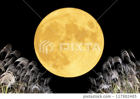 Full moon, Japanese pampas grass, moon viewing, autumn, night, black background 117882485