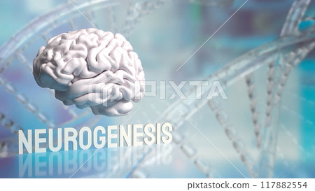The Brain and neurogenesis text for sic or health concept 3d rendering. 117882554