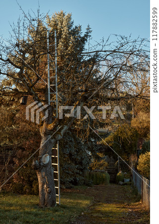 Autumn Serenity in Germany. Countryside Villages and Vineyards Along the River. autumn landscapes of Germany, featuring quaint cottages in a German village and picturesque vineyards adorning the 117882599