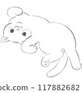 日式白貓打滾露出肚子 117882682