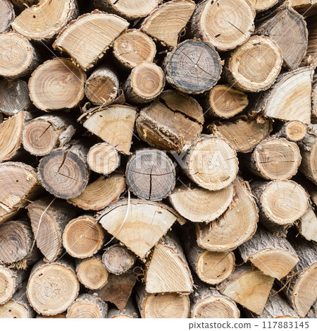 Firewood background Firewood background 117883145