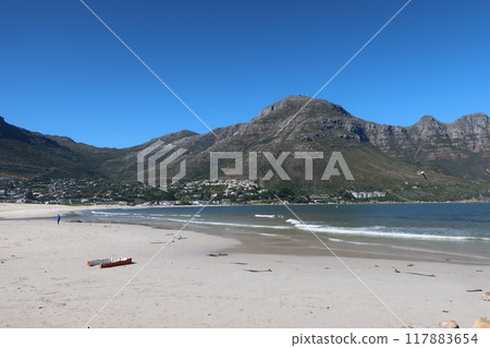 Cape Tongue (Hout Bay), Western Cape, South Africa 117883654