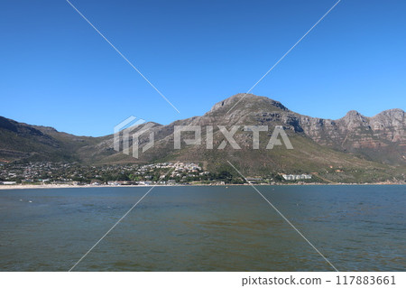 Cape Tongue (Hout Bay), Western Cape, South Africa 117883661