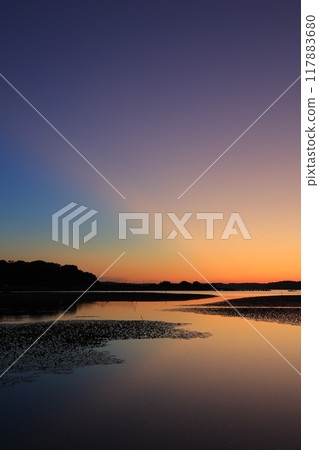 美麗的晨光 117883680