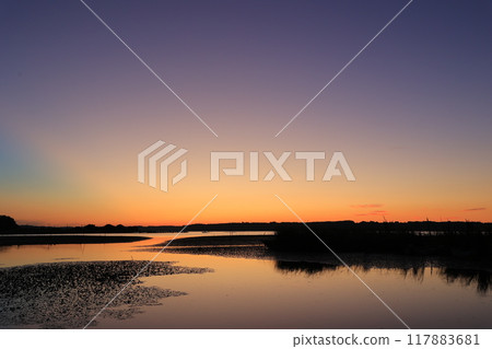 美麗的晨光 117883681