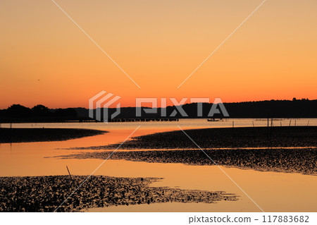 美麗的晨光 117883682