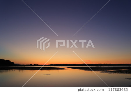 美麗的晨光 117883683