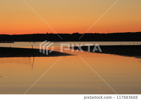 美麗的晨光 117883688