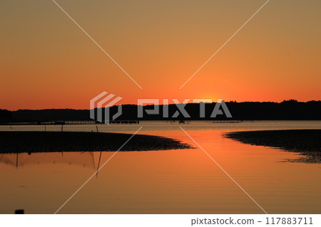 美麗的晨光 117883711