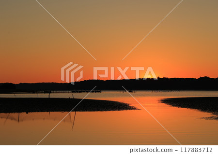 美麗的晨光 117883712