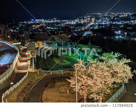 神峰公園夜景 茨城縣日立市 神峰公園夜景 茨城縣日立市 117884028