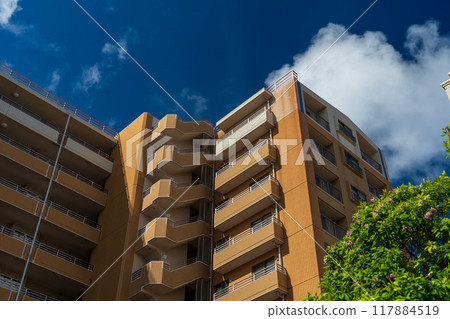 大廈外觀 117884519