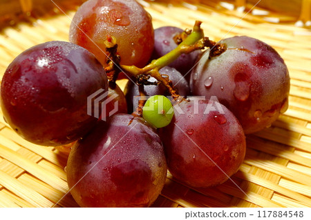 Small green grapes among larger purple grapes 117884548