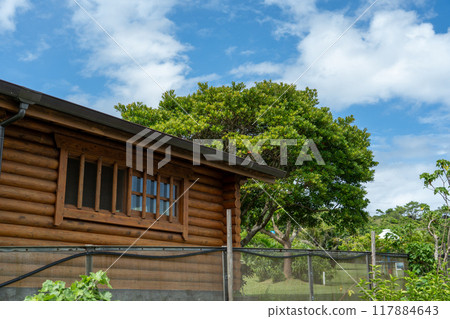 綠色環繞的小屋 117884643