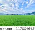 傳播田園風光 117884648