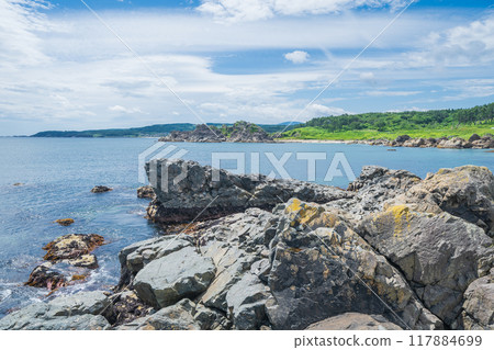 「青森縣」蘆毛崎、中須賀海岸/種差海岸 夏季 「青森縣」蘆毛崎、中須賀海岸/種差海岸 夏季 117884699