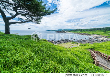 "Aomori Prefecture" Tanesashi Coast, Michinoku Sea Breeze Trail, Nakasuka Coast, Summer 117884896