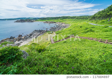 "Aomori Prefecture" Tanesashi Coast, Michinoku Sea Breeze Trail, Nakasuka Coast, Summer "Aomori Prefecture" Tanesashi Coast, Michinoku Sea Breeze Trail, Nakasuka Coast, Summer 117884897