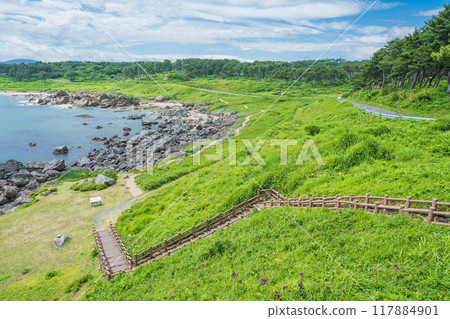 「青森縣」種差海岸 陸奧海風步道/中須賀海岸 夏季 117884901