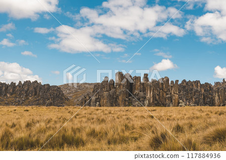 Panoramic view of the Huayllay Stone Forest, rocks eroded by the wind over the years creating stone figures. Pasco. Peru, Wide view Panoramic view of the Huayllay Stone Forest, rocks eroded by the wind over the years creating stone figures. Pasco. Peru, Wide view 117884936