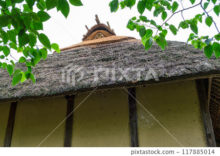 Thatched roof and spider web 117885014