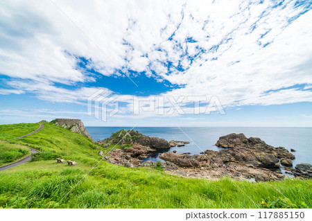 "Aomori Prefecture" Tanesashi Coast, Ashigezaki Observatory, Michinoku Sea Breeze Trail, Summer "Aomori Prefecture" Tanesashi Coast, Ashigezaki Observatory, Michinoku Sea Breeze Trail, Summer 117885150