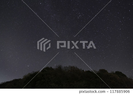 Winter starry sky: Orion rising 117885906