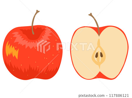 一個蘋果和橫斷面 117886121