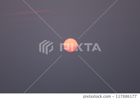 Sun on a yellow dust day 117886177