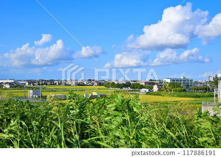 Blue sky and white clouds, streetscape and rice fields, near Yuhigaoka, Saitama city Blue sky and white clouds, streetscape and rice fields, near Yuhigaoka, Saitama city 117886191
