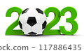 Green Football 2023 117886435