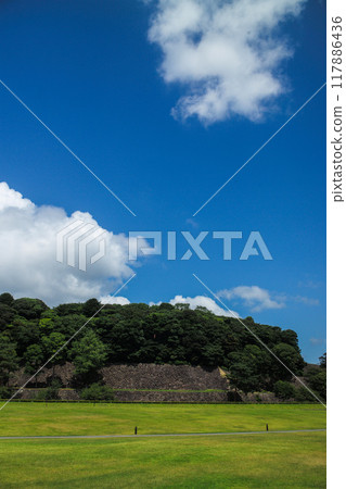 椎木綠地 椎木綠地 117886436