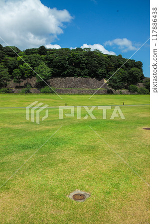 椎木綠地 椎木綠地 117886438
