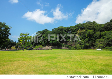 椎木綠地 椎木綠地 117886440